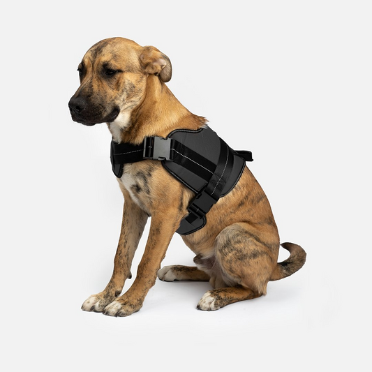 Heavy Duty Harness Black