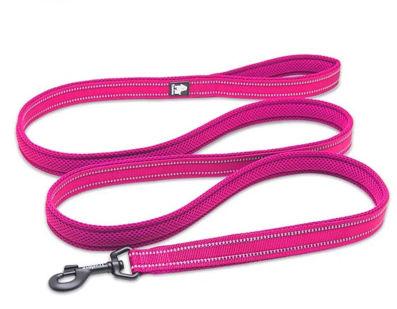 Truelove Soft Mesh Nylon Dog Leash