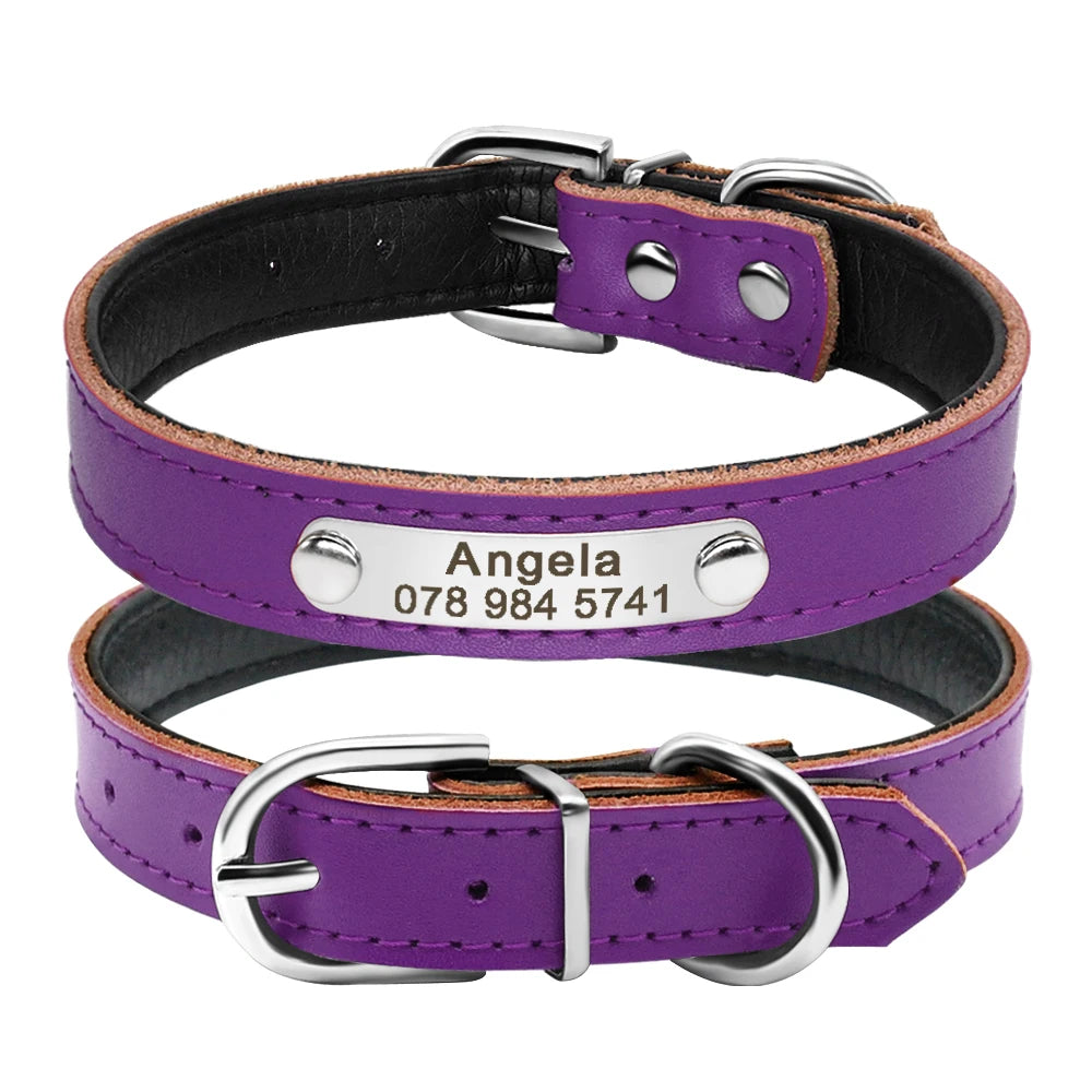 Leather Dog Collar Inner Padded Custom Personalized